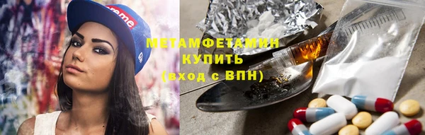 трава Гусиноозёрск
