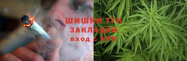 трава Гусиноозёрск