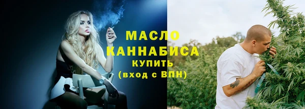 эйфоретик Гусь-Хрустальный