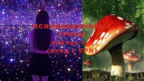 эйфоретик Гусь-Хрустальный