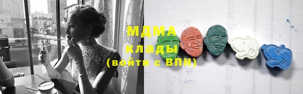 эйфоретик Гусь-Хрустальный