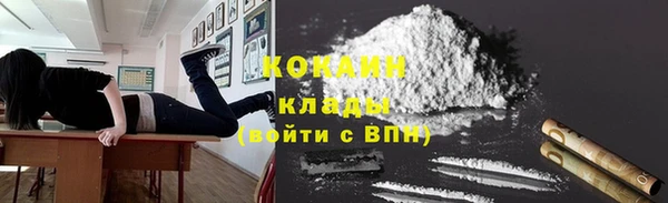 эйфоретик Гусь-Хрустальный