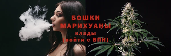 эйфоретик Гусь-Хрустальный