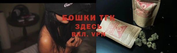 трава Гусиноозёрск