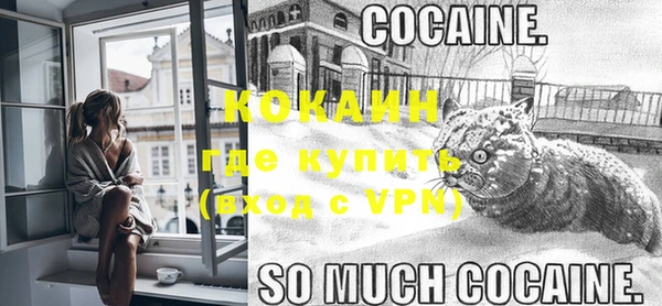 трава Гусиноозёрск