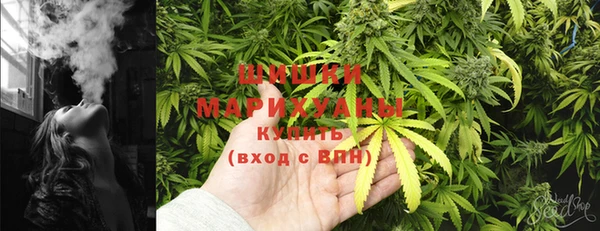трава Гусиноозёрск