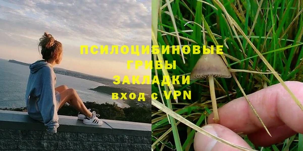 эйфоретик Гусь-Хрустальный