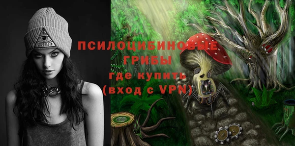 трава Гусиноозёрск