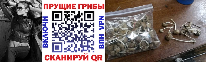 Галлюциногенные грибы Magic Shrooms Петровск-Забайкальский